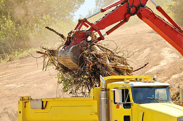 Excavator lifting debris and vegetation into yellow dump truck on construction site, illustrating ADX Excavating's land clearing services.