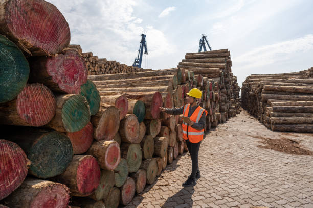 Worker in safety gear inspecting stacked logs in a lumber yard, showcasing forestry management and land clearing operations.