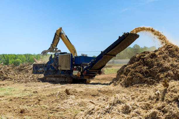 Forestry mulcher in action, shredding brush and debris on a land clearing site, showcasing ADX Excavation's efficient land reclamation services.